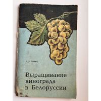 Ромуальд Лойко Выращивание винограда в Белоруссии