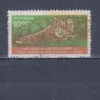 [2148] Индия 2000. Фауна.Дикие кошки.Тигр. Гашеная марка.