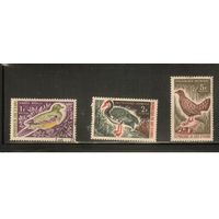 Кот-Дивуар-1966(Мих.299-302),  гаш.,     Фауна ,Птицы