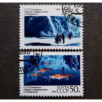 Марки СССР 1990 год Научное сотрудничество в Антарктике