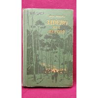 Вера Лютова. Зарево над лесом