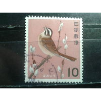 Япония, 1964. Пуночка луговая