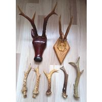 Рога Косули 9 штук.