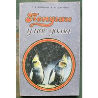 Попугаи у нас дома. П. В. Чернушин, А. М. Дорофеев.