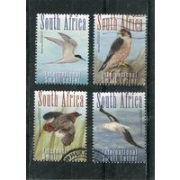 ЮАР. Фауна. Редкие птицы