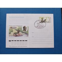 СГ Беларусь. ОМ. 2002. Фонтан в парке Янки Купалы. Оригинальная марка