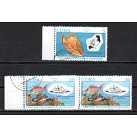 Рыбы Куба 1990 год серия из 3-х марок
