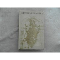 Анатомия человека. Под ред. проф. С. С. Михайлова. М. Медицина. 1973г.