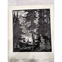 Линогравюра ,, Беловежская пушча" , Садин В. С.