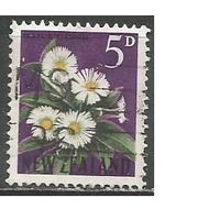 Новая Зеландия. Цветы. Целизия. 1960г. Mi#398.