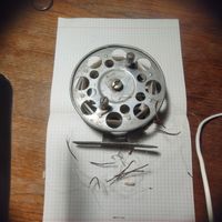 Катушка под Невскую