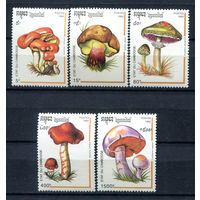 Камбоджа - 1992г. - Грибы - полная серия, MNH, одна марка с пожелтевшим клеем [Mi 1318-1322] - 5 марок