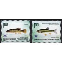 Босния и Герцеговина 2010. Рыбы. 2 марки 512