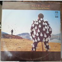 Pink Floyd 2LP	"Delicate sound of thunder"