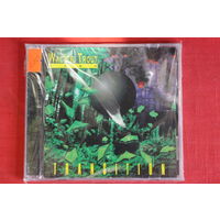 Walter Trout Band - Transition (2004, CD)