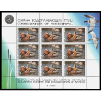 СССР 1989 ФАУНА. ПТИЦЫ. УТКИ. ВСЕРОССИЙСКОЕ ОБЩЕСТВО ОХРАНЫ ПРИРОДЫ  MNH