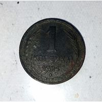 1 копейка 1924 года СССР. Родная патина!