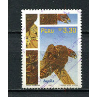 Перу - 1997 - Птицы 3,30S - [Mi.1615] - 1 марка. Гашеная.  (Лот 51HC)-T4P52