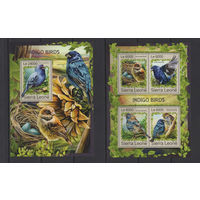 Сьерра-Леоне 2016** Птицы