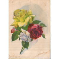Подписанная открытка 1959г. "Розы" худ. Д. Астапова