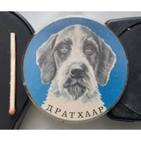 Дратхаар. Бв-55