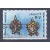 [2441] Ямайка 1980. Фауна.Черепахи. Гашеная марка.