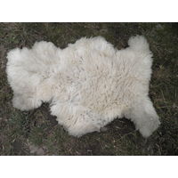 Шкура белой овцы (110х90 см.).С рубля.