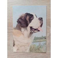 Календарик 1993