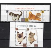 Болгария 2013 Фауна Котята 4 марки (5118)