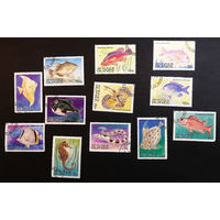 Гвинея 1980 г. Рыбы. Морская Фауна, полная серия из 12 марок #0228-Ф1P44