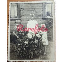 1930-е Дети межвоенная Польша Западная Беларусь