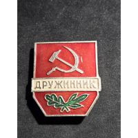 Знак дружинник