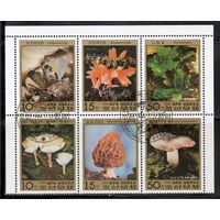 Минералы и грибы КНДР 1986 год сцепка из 2-х серий по 3 марки