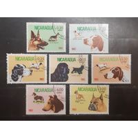Никарагуа. 1982 год. Фауна. Собаки (779)