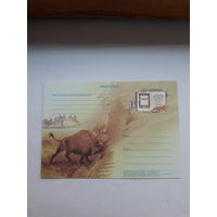 Паштоука Беларусь 2008 Песня про зубра