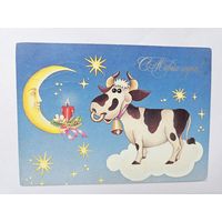 Чумакова 1996 годовик с новым годом