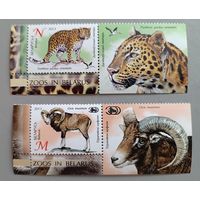 Европейский муфлон и леопард. Из серии, марки с купоном. Беларусь, 2013