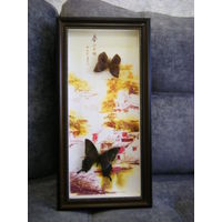 Две коллекционная бабочки. 47см.х23см.