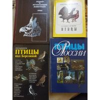 Книги птицы 4(шт)