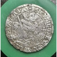 Орт 1621 распродажа коллекции