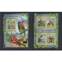 Сьерра-Леоне 2016** Птицы