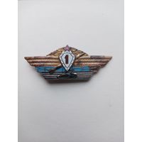 ЗНАК КЛАСНОСТЬ (1)