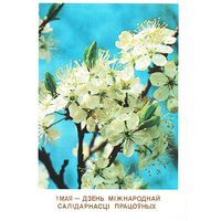 Открытка 1989, подписана. Худ. А.И. Дрозд