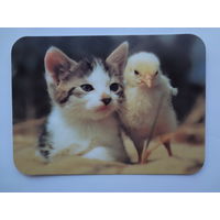 Календарик 2000 г. Котенок и цыпленок.