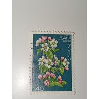 Алжир  марка 1978 год цветы
