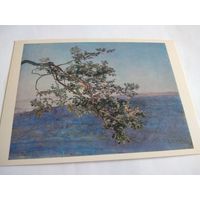 Открытка 1985г. А. Иванов. Ветка.