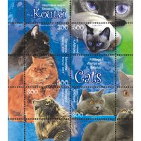 2004 БЕЛАРУСЬ  блок коллекционных марок Кошк MNH