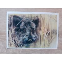 Исаков 1989, чистая