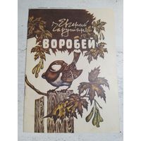 Чарушин. 1982