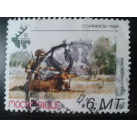 Мозамбик, колония Португалии, 1981. Охотник